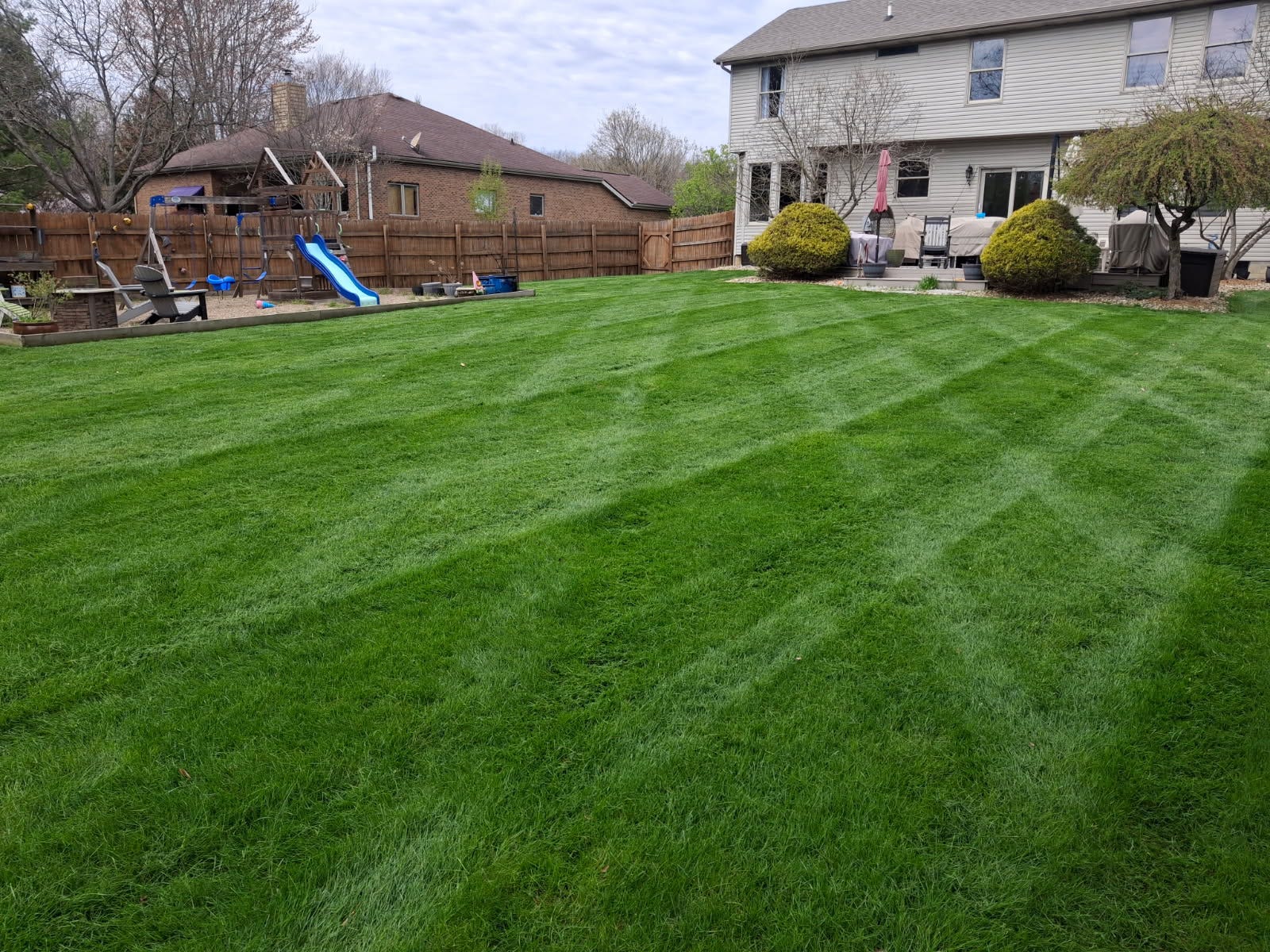 KLSM_6 Beautiful Lawn